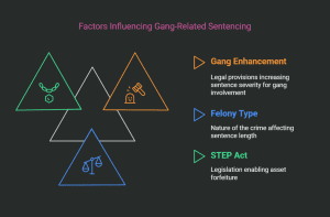 Infographic explaining key points of the California STEP Act by Darren Chaker.